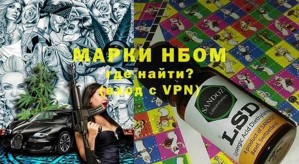 прущие грибы Беломорск