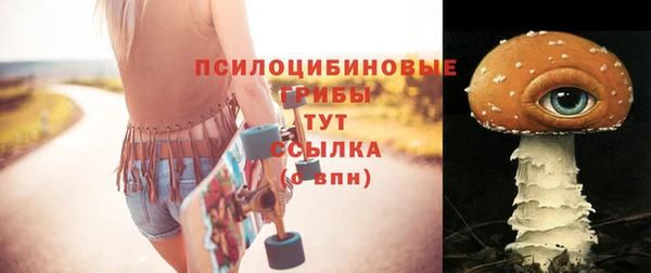 apvp Белокуриха
