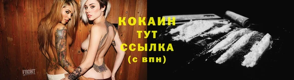 прущие грибы Беломорск