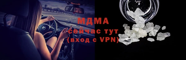прущие грибы Беломорск