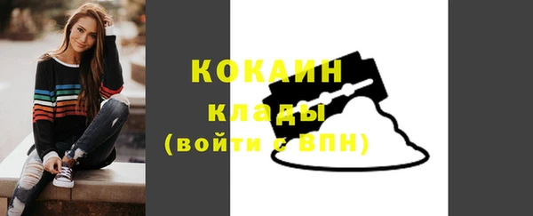 прущие грибы Беломорск