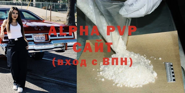 прущие грибы Беломорск