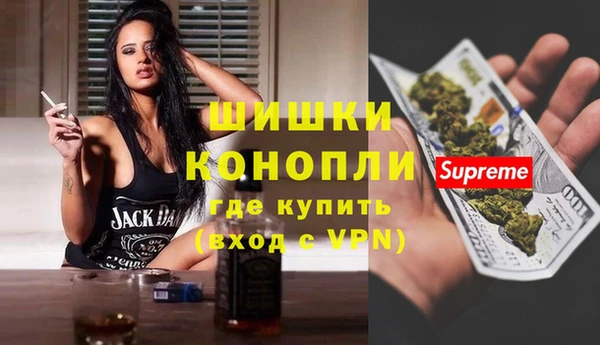 прущие грибы Беломорск