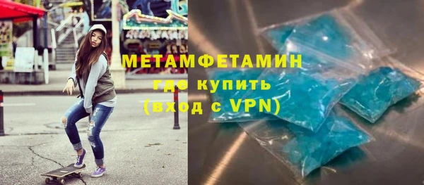 прущие грибы Беломорск